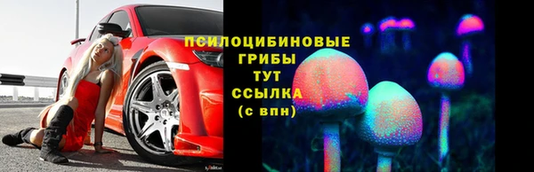 тгк Кущёвская