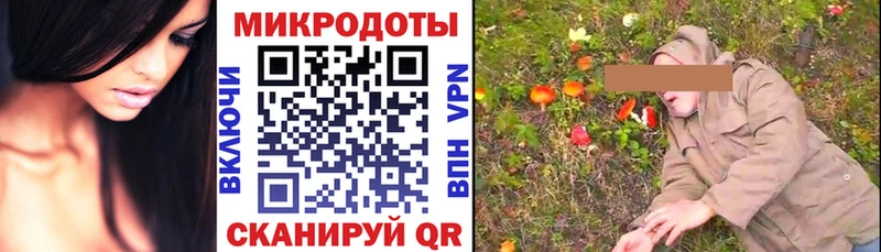 Псилоцибиновые грибы Psilocybe  Белебей 