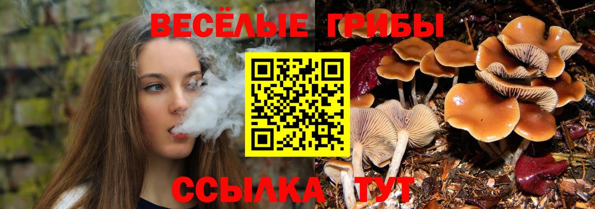 Белебей  Галлюциногенные грибы мицелий  купить наркотик  Вход с VPN  Псилоцибиновые грибы GOLDEN TEACHER 
