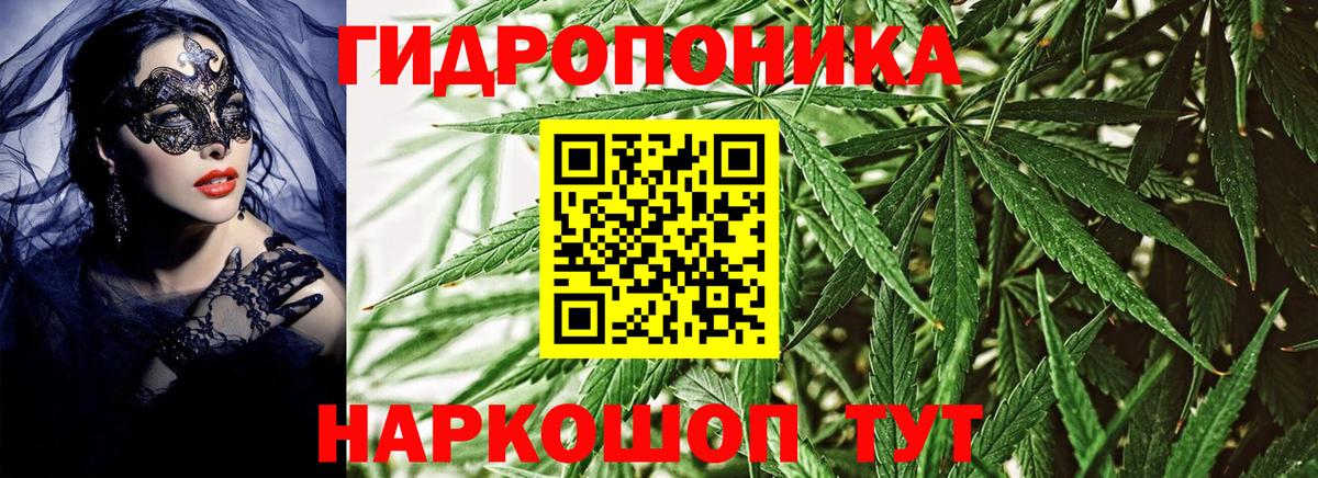Канабис Ganja  Вход с VPN  Белебей  Бошки марихуана сатива 